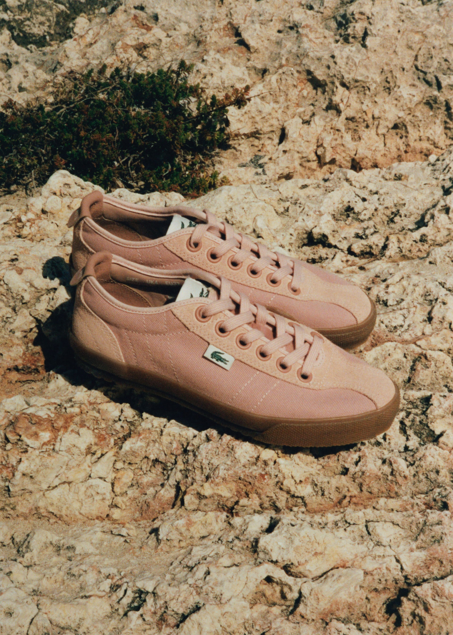 Women's Sneakers
