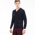 Lacoste Men's V-Neck Wool Jersey Sweater166