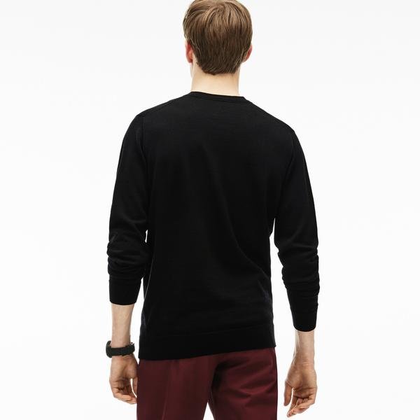 Lacoste Men's V-Neck Wool Jersey Sweater