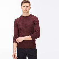 Lacoste Men's Sweater12R