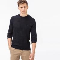 Lacoste Men's Sweater12L
