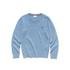 Lacoste Boys' Crew Neck Cotton Jersey SweaterRenkli