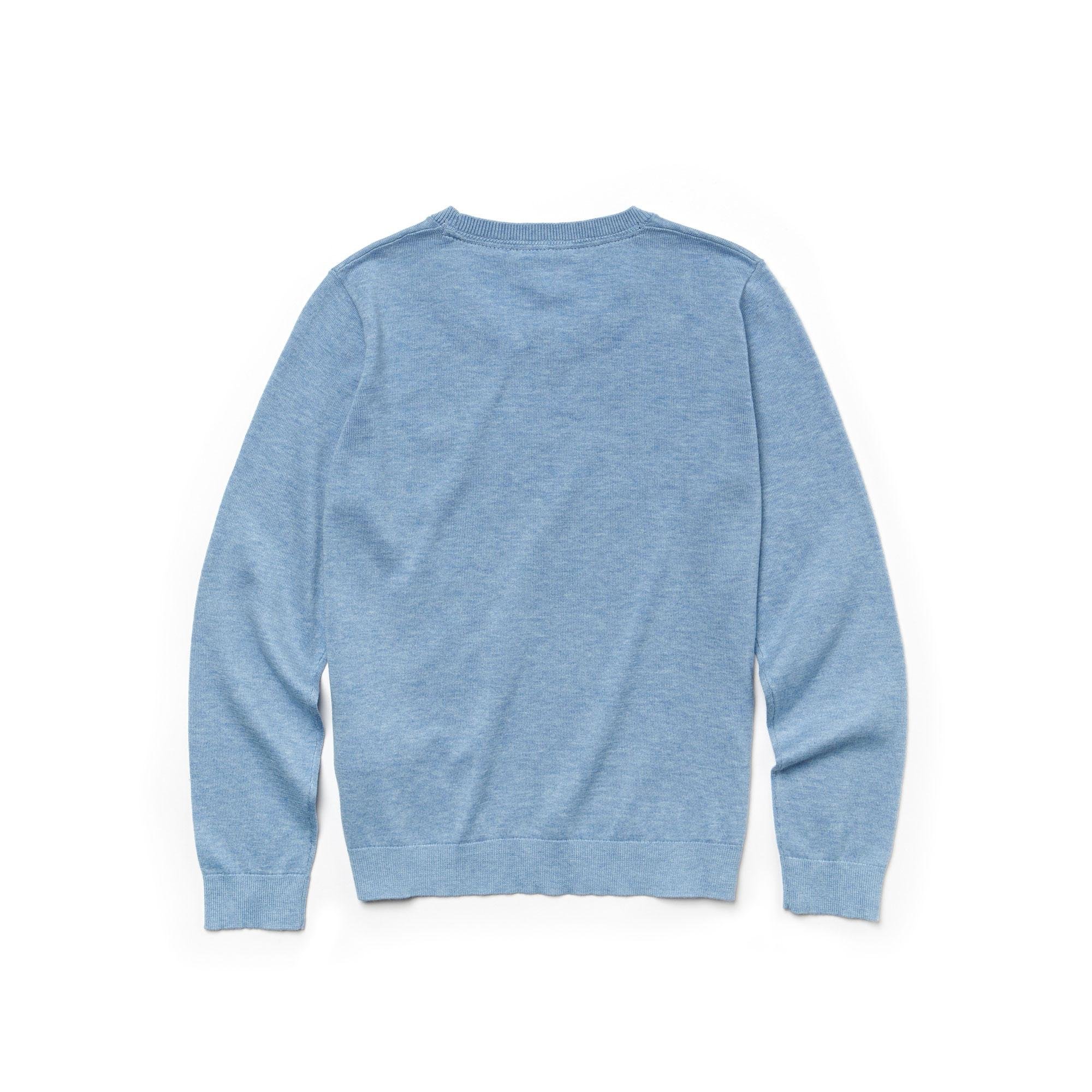 Lacoste Boys' Crew Neck Cotton Jersey Sweater