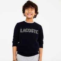 Lacoste Kids' Sweater166