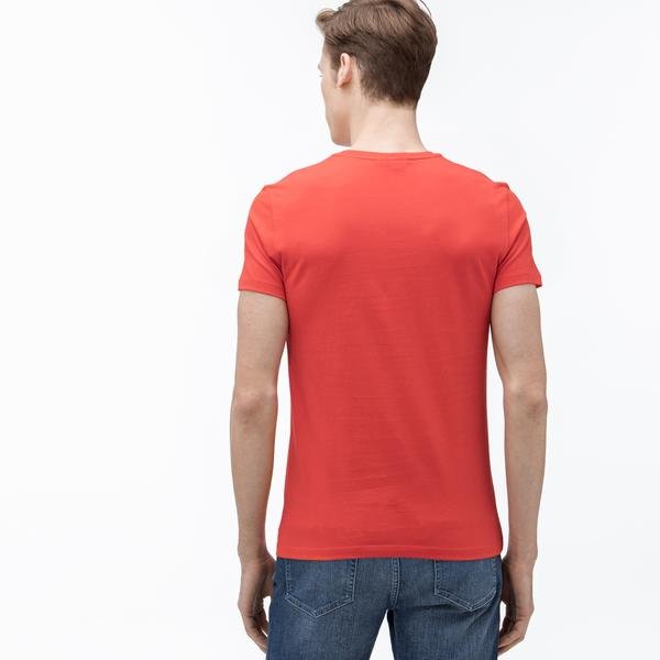 Lacoste T-Shirt Men's with round  Crew Neck