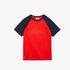 Lacoste Chłopięcy Bawełniany Dwukolorowy T-Shirt Z Nadrukiem KrokodylaKırmızı