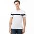 Lacoste Men's Round Neck Striped T-Shirt54A