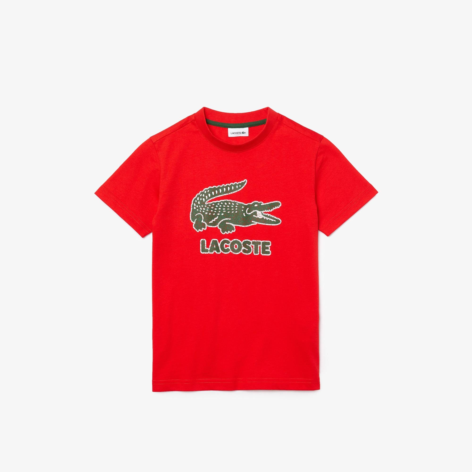 Lacoste Boy's T-Shirt