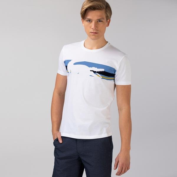Lacoste Men's T-Shirt