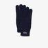 Lacoste Men's Embroidered Crocodile Wool Gloves166