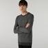 Lacoste Men's sweater46G