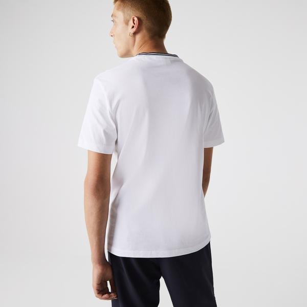 Lacoste Pánské hladké tričko z bavlny s pruhovaným límcem a výstřihem ke krku