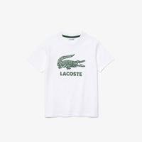 Lacoste T-shirt dziecięcy001