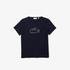 Lacoste Kid's T-Shirt166