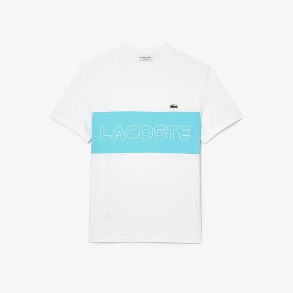 Lacoste  Regular Fit Printed Colourblock T-shirt